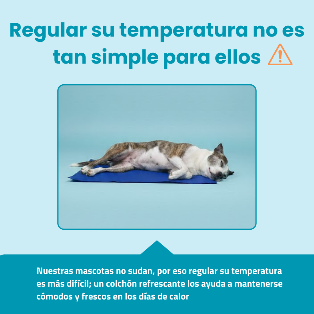 Colchón Refrescante para Mascotas