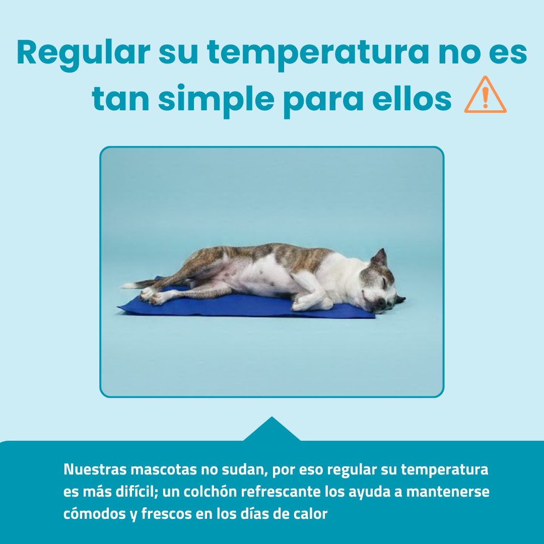 Colchón Refrescante para Mascotas