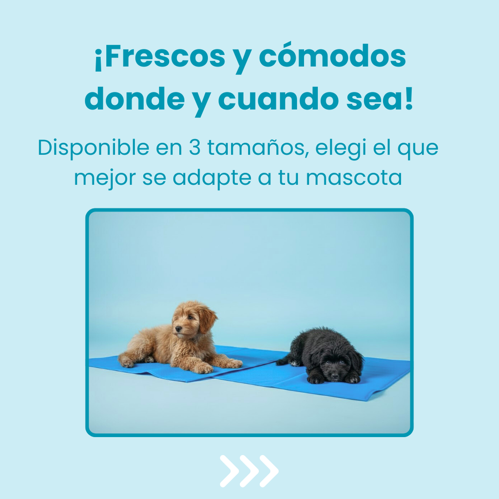 Colchón Refrescante para Mascotas
