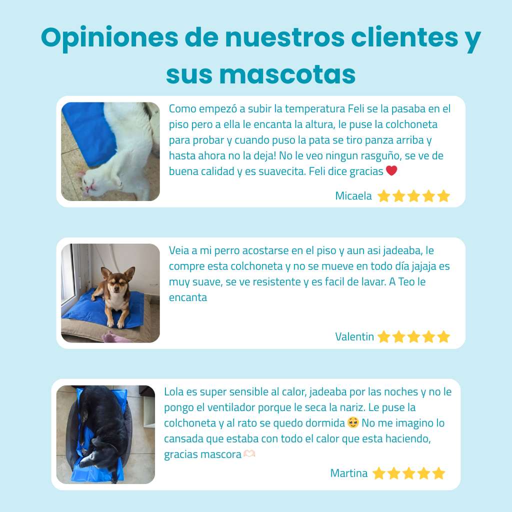 Colchón Refrescante para Mascotas