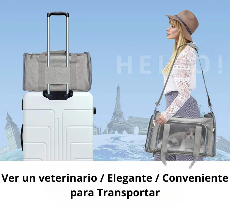 Transportador Seguro para Mascotas