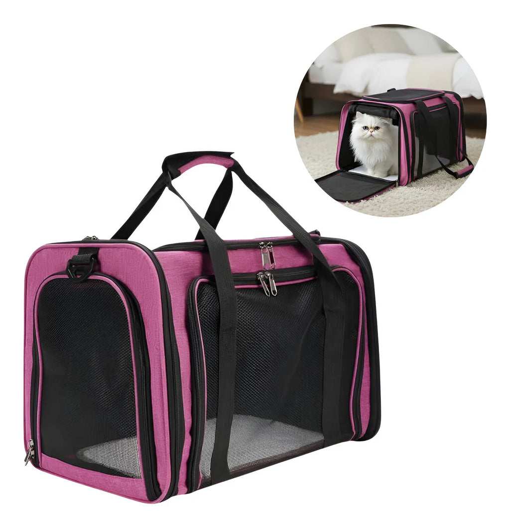 Transportador Seguro para Mascotas