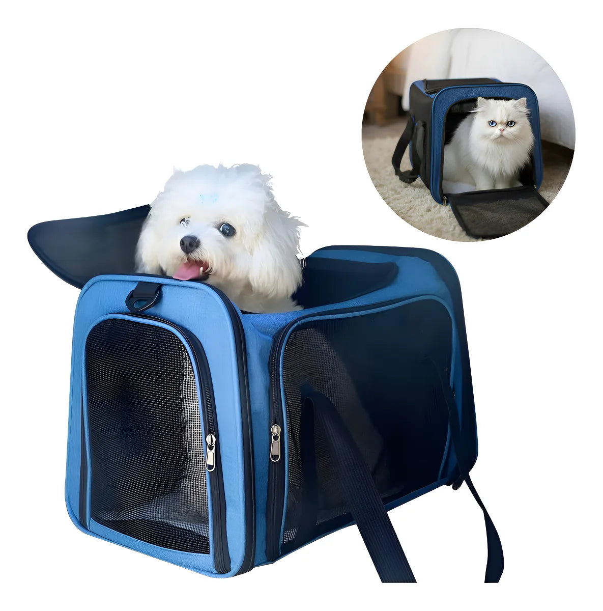 Transportador Seguro para Mascotas