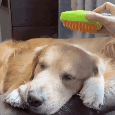 Cepillo Vapor Anti-Nudos para Perros y Gatos